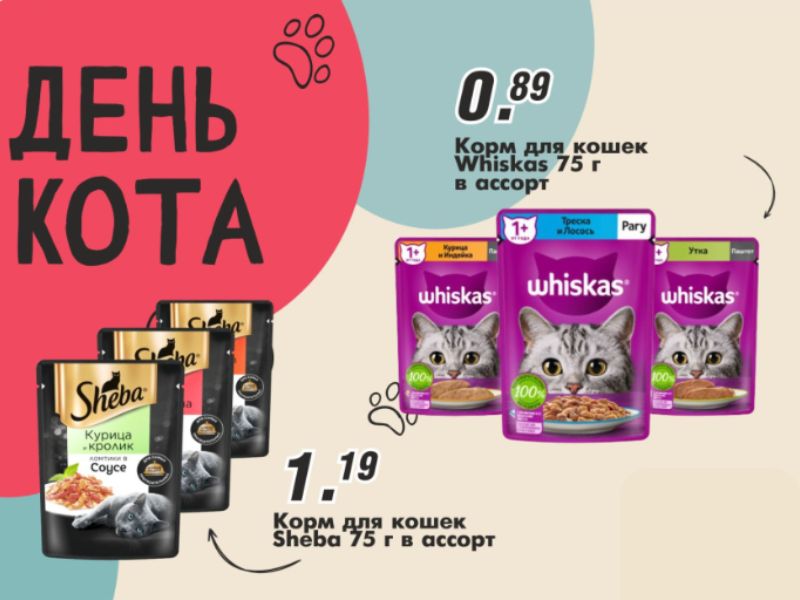 День кота в Гиппо!