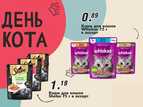 День кота в Гиппо!